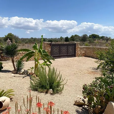 La Palmerale Nardo